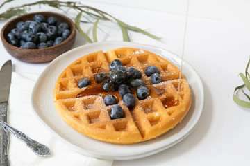 Maple Syrup pouring on Belgian waffle with blueberries, Dusted with Powdered Sugar, White Background, Copy Space