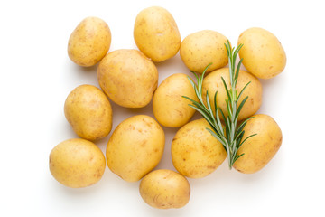 New potato and rosemarin isolated on white background close up.