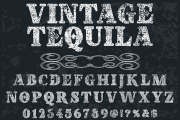font script typeface  handcrafted vector named vintage tequila