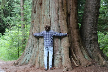 Dimension des Waldes