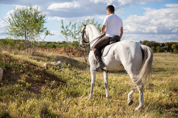 Back view of young male in casual outfit riding white horse on grassy meadow a sunny day