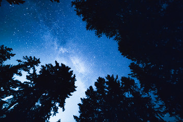 The magical star scapes of the Milky Way over the gorgeous island of Bowen close to the city centre of Vancouver British Columbia Canada.  Night Sky Photography.