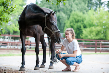 Black horse gazing away close to her owner - young teenage girl