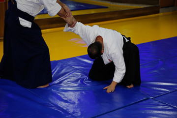 aikido