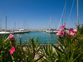 Italia, Toscana, Livorno, il paese di San Vincenzo, il porto turistico.