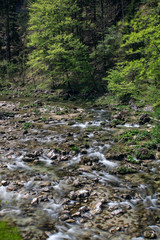 Ötschergräben in Loweraustria, waterfalls and stunning nature