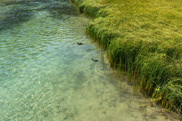 Ufer am glasklaren Bach