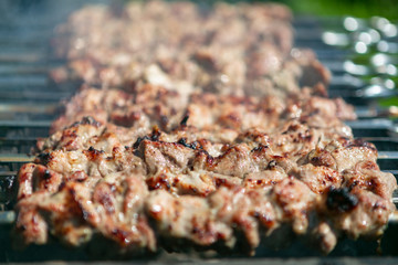 Meat is grilled / Schaschlik / Barbecue