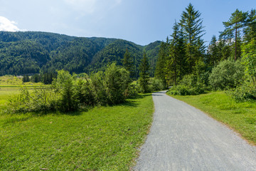 Fototapeta na wymiar Gut ausgebauter Rad und Gehweg im Wald