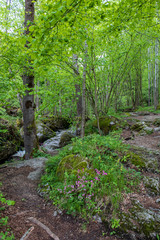 Ysperklamm in Austria, Waterfalls in Nature