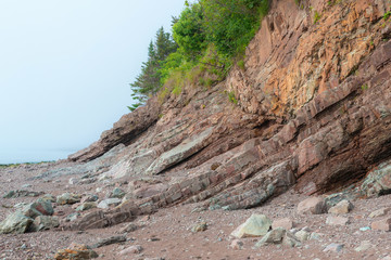 Obraz premium Sedimentary Fossil Cliff