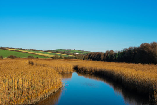 Thurlestone Salt Marsh
