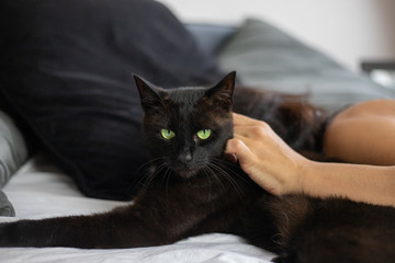 An unidentifiable woman wearing a silk nightgown lies in bed while caressing a black cat with bright green eyes