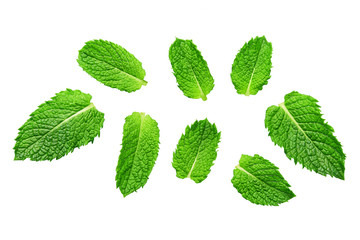 Mint leaves isolated on white. Mint Clipping Path.
