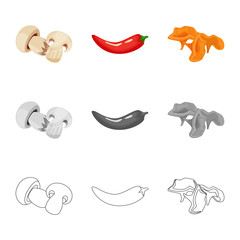 Vector illustration of taste and product icon. Set of taste and cooking stock symbol for web.