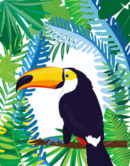 cute toucan vector card