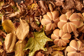 Homemade cookies in shape of pumpkin in autumn leaves. Halloween handmade cookies on a table, close up