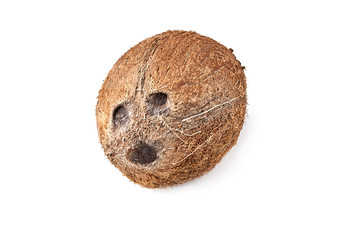 Full coconut isolated on a white background