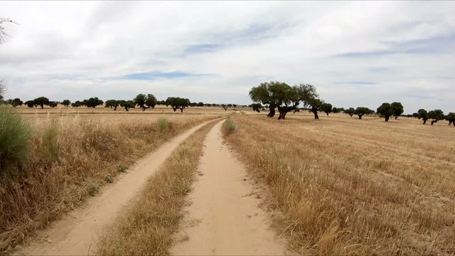 rural path on a summer landscape next to Hinojosa del Duque, province of Cordoba, Andalusia, Spain