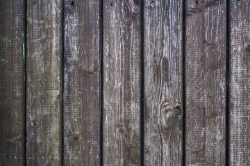old wood background. wall of wooden planks