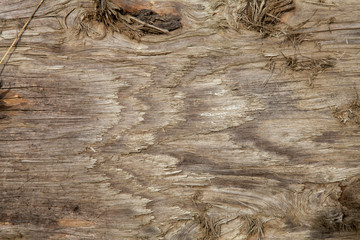 Dirty wooden board. Wood texture, pattern background.