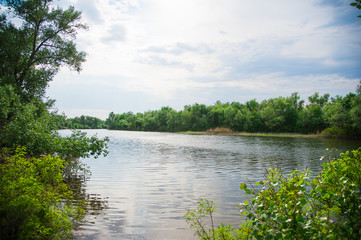 Fototapeta na wymiar Summer landscape on the river bank