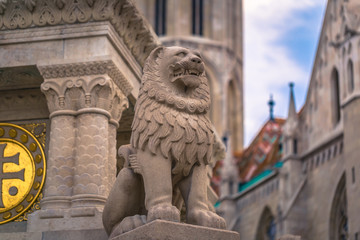 Fototapeta na wymiar Budapest - June 22, 2019: Lion statue in the Buda side of Budapest, Hungary