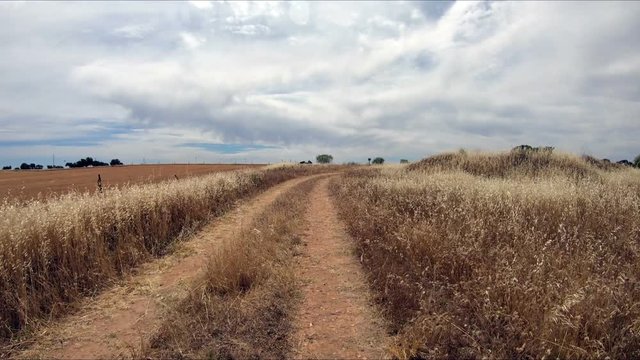 rural path on a summer landscape next to Hinojosa del Duque, province of Cordoba, Andalusia, Spain