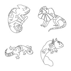 Vector design of wildlife and nature symbol. Collection of wildlife and exotic stock vector illustration.