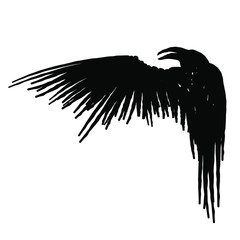 Black raven with wing isolated on a white background. Hand drawn illustration. - obrazy, fototapety, plakaty