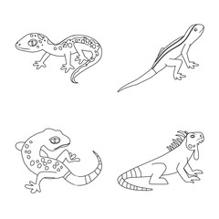 Isolated object of wildlife and nature icon. Collection of wildlife and exotic stock symbol for web.