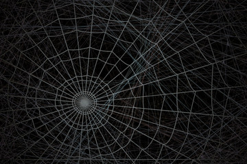 concentric white web on a gray background