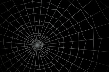 concentric white web on a gray background