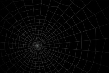 concentric white web on a gray background