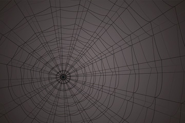 concentric white web on a gray background