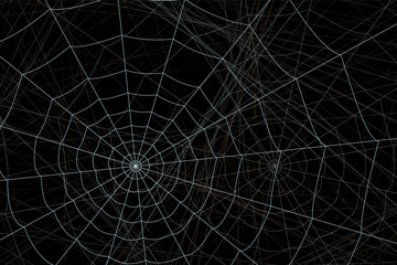 concentric white web on a gray background