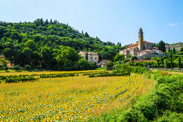 Landscape with the image of italian country side