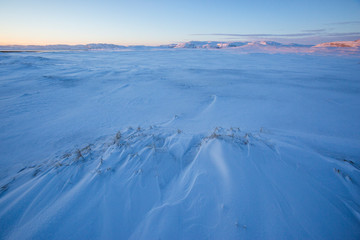 Snow desert. Kola Peninsula winter landscape