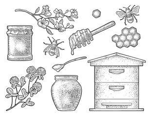 Honey set. Vector vintage black engraving isolated on white