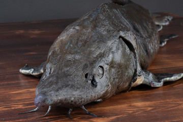 Fresh raw sturgeon fish on the table with lemon pepper garlic. clouse up.