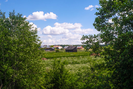 landscape with the image of russian village in Vologda region