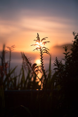 Obraz premium Eclipse