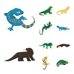 Vector design of animal and reptile logo. Collection of animal and nature stock symbol for web.