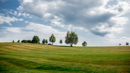 Fototapeta na wymiar golf field with trees and lawn in Czech