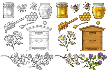 Honey set. Vector vintage color engraving isolated on white