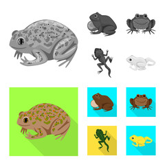 Vector illustration of wildlife and bog symbol. Set of wildlife and reptile vector icon for stock.