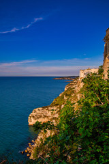 Rocky coast from above