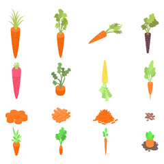 Carrot icons set. Isometric set of carrot vector icons for web design isolated on white background