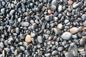wet pebbles on the ocean shore.