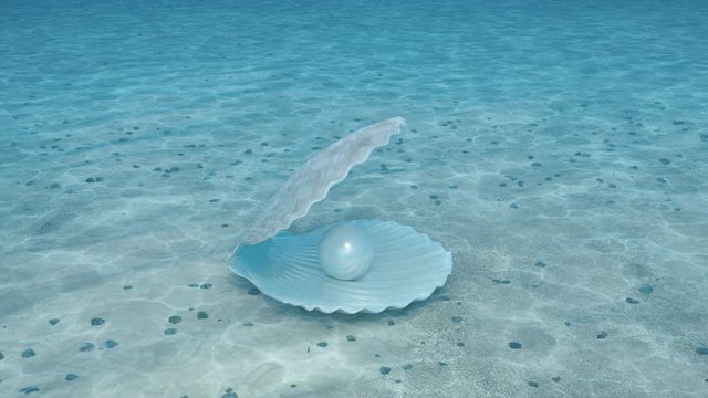 Pearl inside a seashell. Beautiful pearl in the shell on the seabed. Rays of sunlight shining from above penetrate deep clear blue water. Caustic effect in the seabed. Sunlight beams underwater. 4K